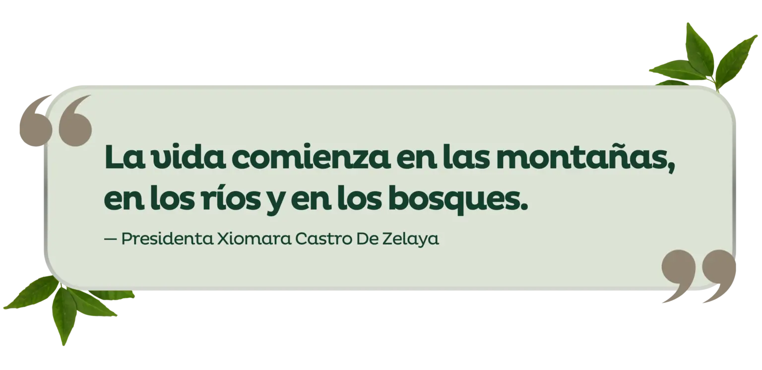 Frase La vida Comienza en la montañas, en lo ríos y en los bsoques.